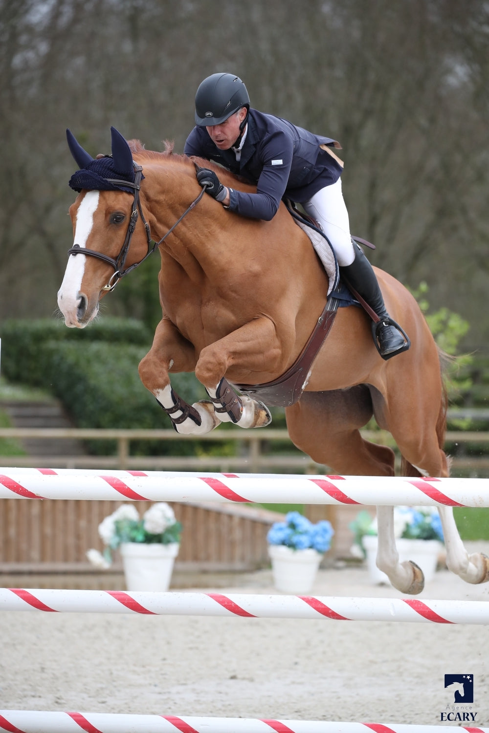 Hary’s boy GP du Bois Madame