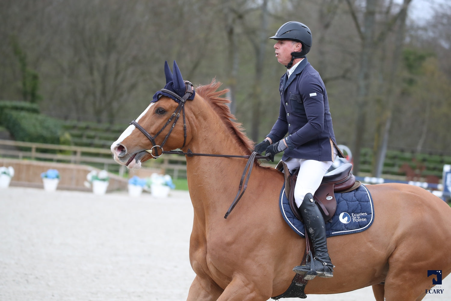 Hary’s boy GP du Bois Madame