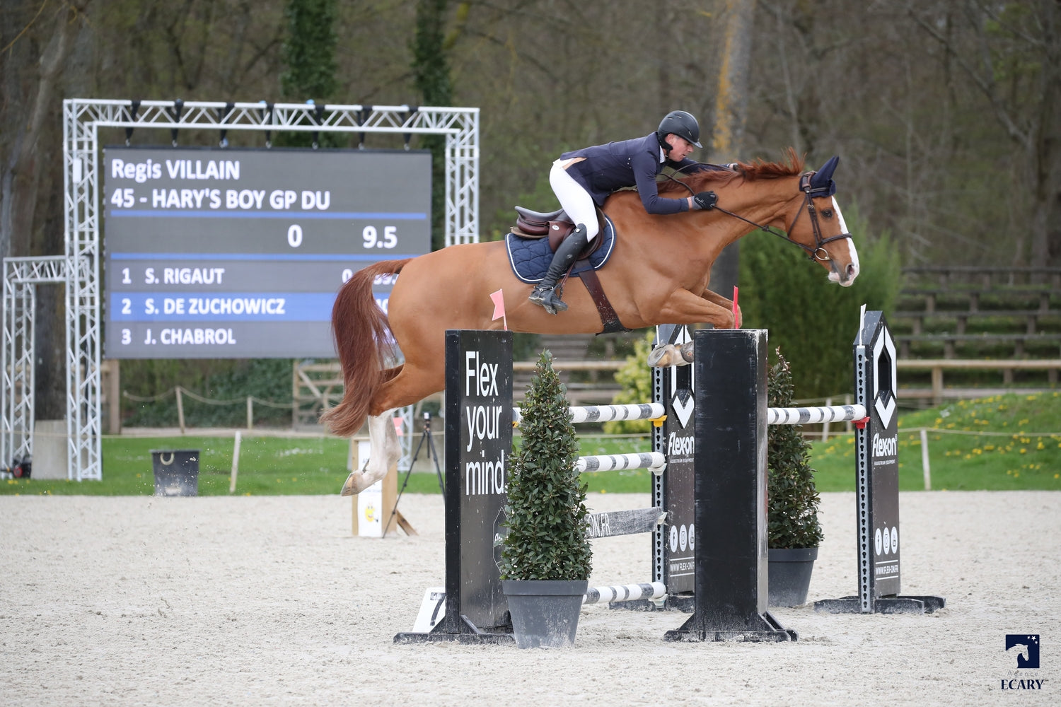 Hary’s boy GP du Bois Madame