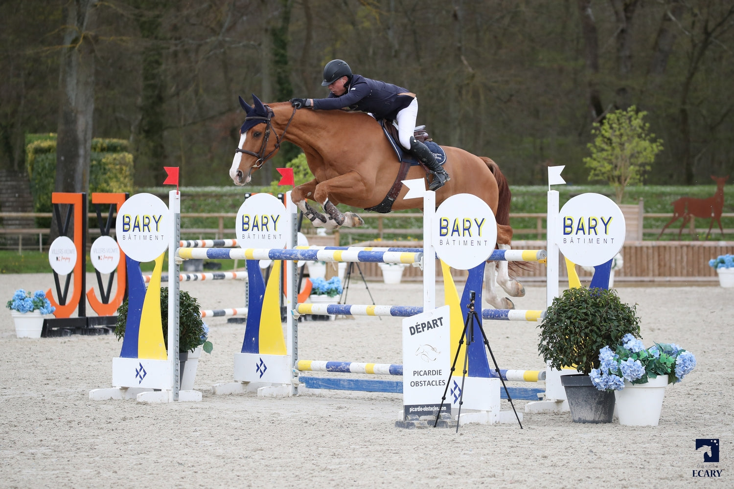 Hary’s boy GP du Bois Madame