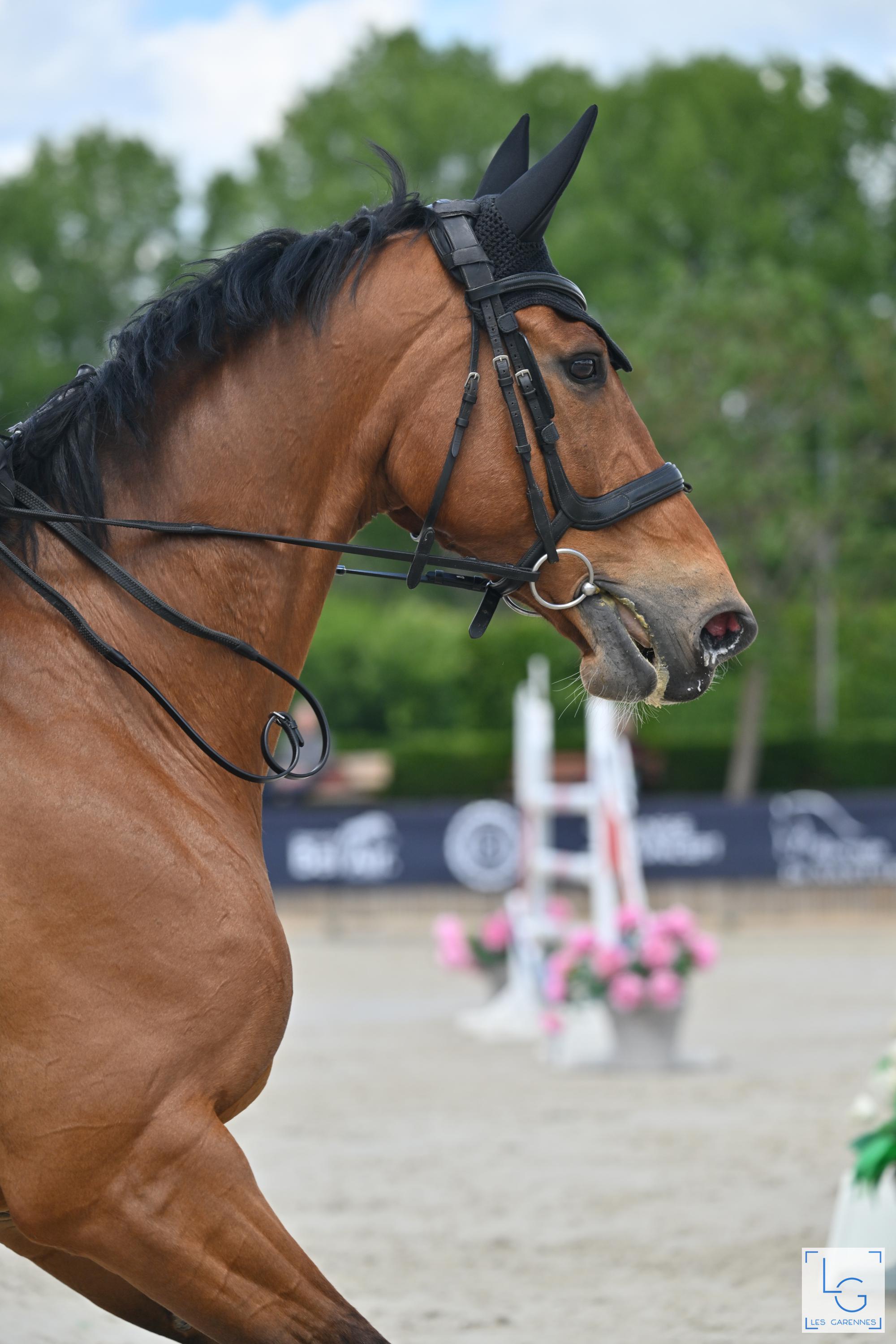 Showtime de Clamens Z