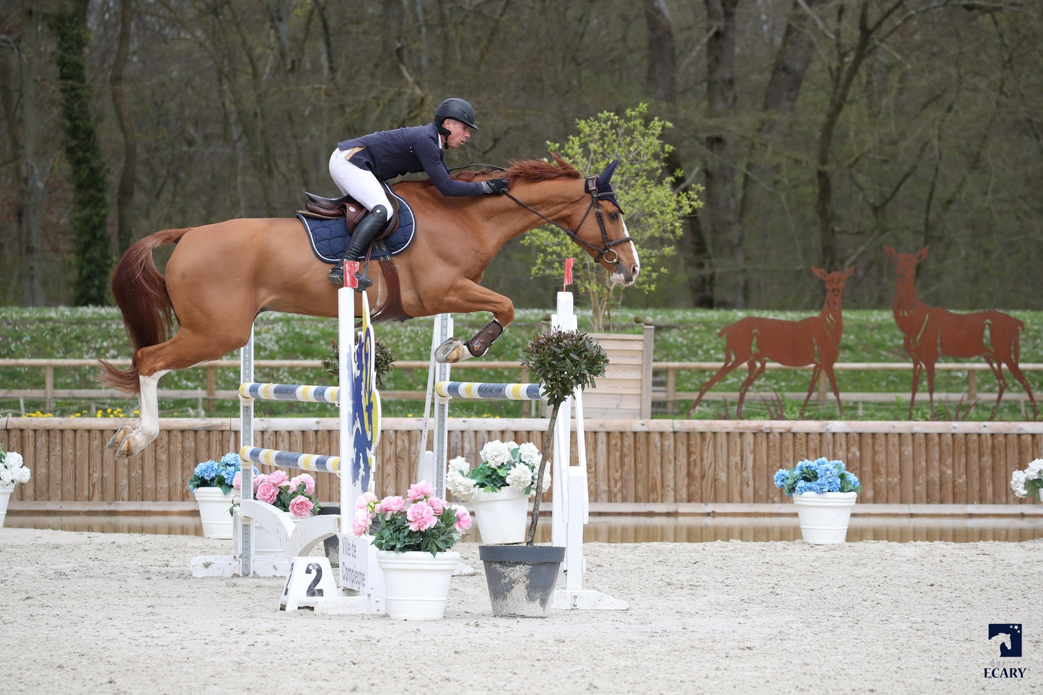 Hary’s boy GP du Bois Madame