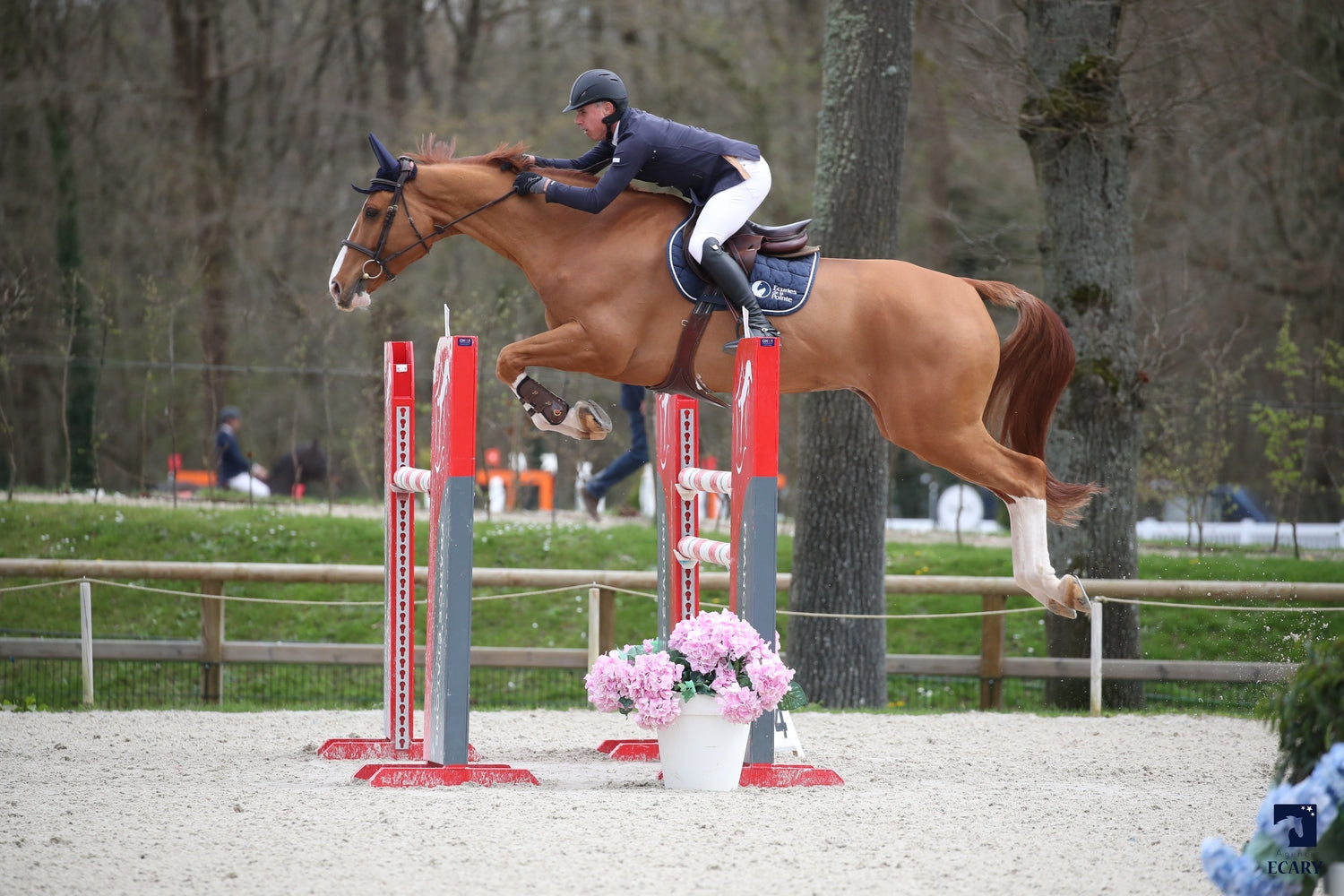 Hary’s boy GP du Bois Madame