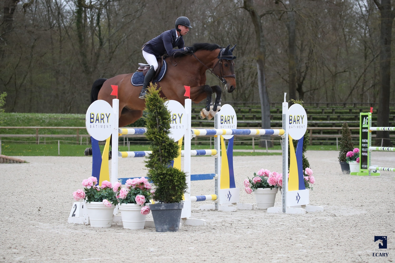 Dreamer de la pointe