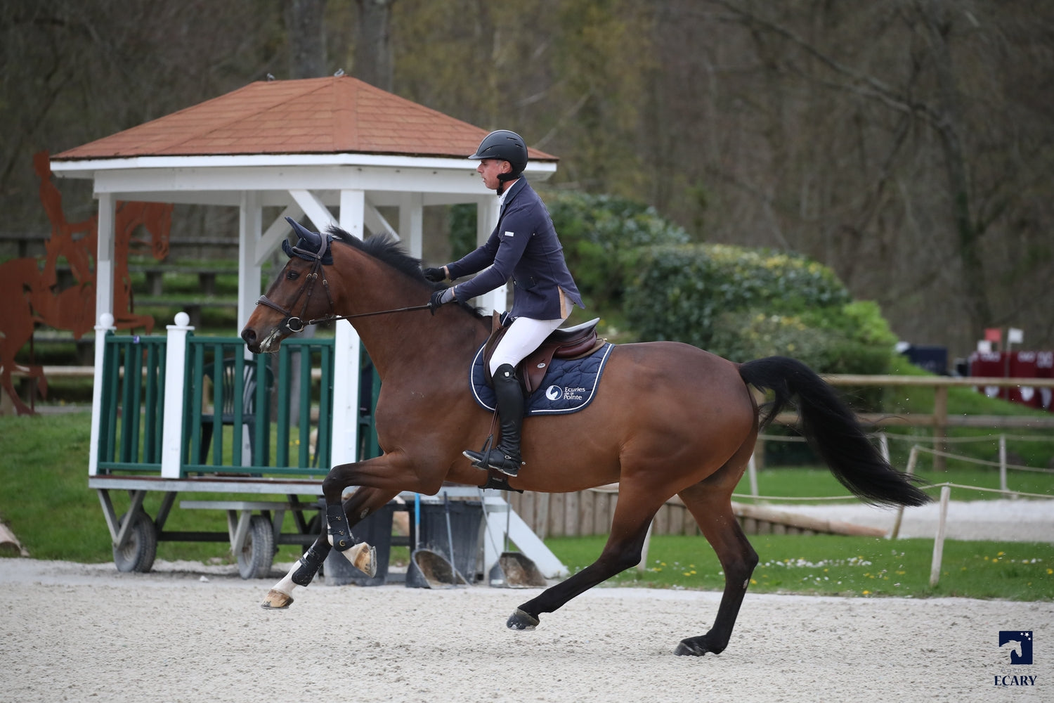 Dreamer de la pointe